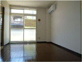 その他写真１