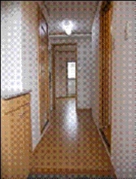 その他写真１